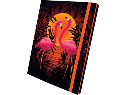 Box na sešity s gumou FLAMINGO 3D design A4 (315x240mm) 130gr/m2