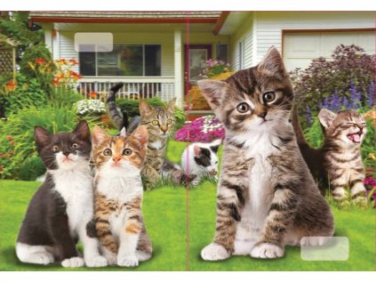 sešit 540 s 3D motivem, A5, 40 listů,bez linek, motiv koťata