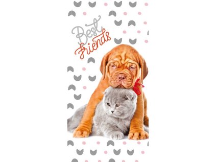 FA 277095 osuska nejlepsi pratele seda