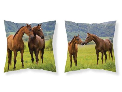 DL 447256 povlak polstarek kone na louce micro