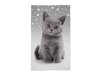 DETEXPOL Dětský ručník Kotě grey Bavlna - Froté, 50/30 cm