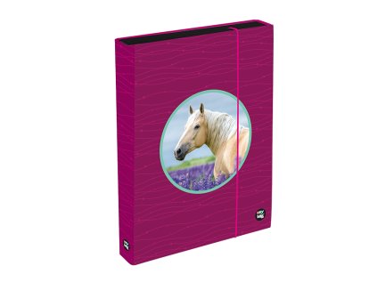 Box na sešity A4 Jumbo OXY Sherpy Pink Koně Kůň
