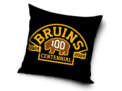 41984 polstarek boston bruins centennial bostonbruins
