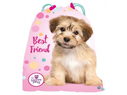 26573 57689 sacek na prezuvky telocvik sweet pets pejsek