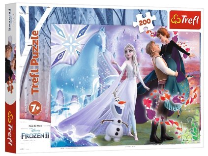 29504 65305 puzzle disney frozen 2 kouzelny svet sester 200 dilku