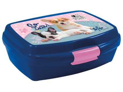 31108 70103 svacinovy box cleo a frank pejsci