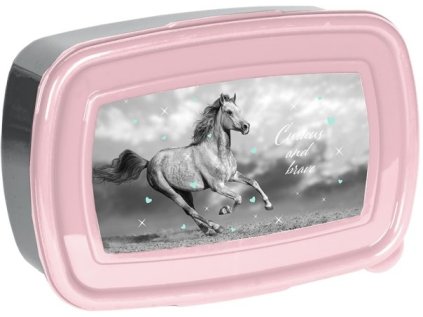 32267 73721 svacinovy box kone