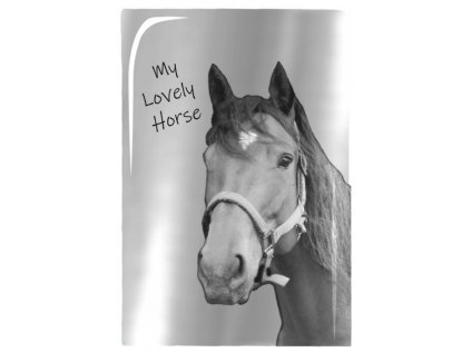 32343 74015 zapisnik a5 horse kone