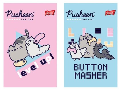 32356 74053 notes blocek a6 pusheen