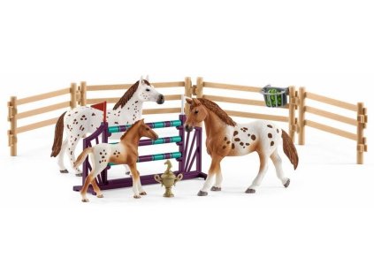 vyr 2987 22728 46708 schleich set appalossti kone a treninkove prislusenstvi