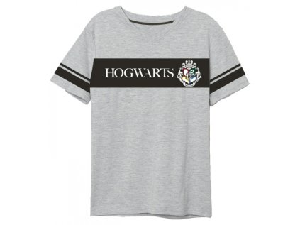 PÁNSKÉ TRIČKO HARRY POTTER šedé