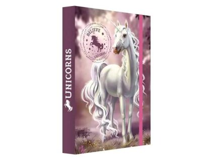 vyr 3855 box na sesity a4 jumbo believe in unicorns