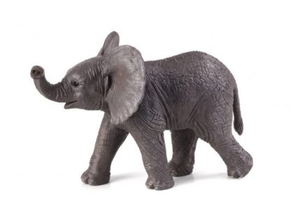 387002 slon.africky slune e1485440544197 540x399