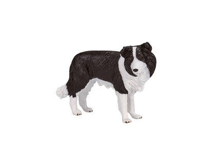 Mojo Border kolie