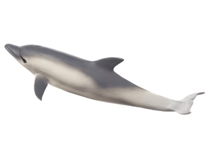 387358 Common Dolphin 540x193