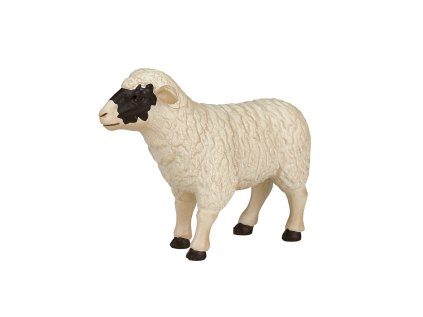 Mojo Hampshire ovce