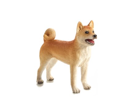 Mojo Pes shiba-inu
