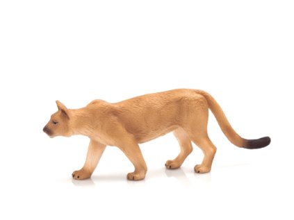 Mojo Puma americká