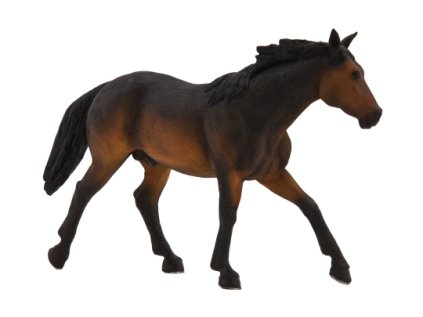 387151 Quarter Horse Sooty Bay 540x360%20%281%29