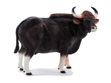 Mojo Gaur býk