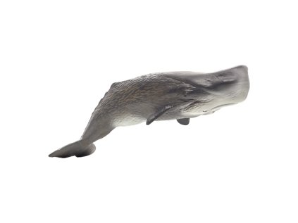 387210.animal