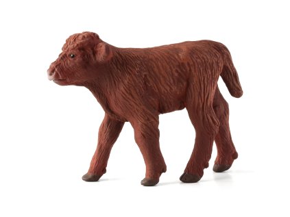 387202.animal