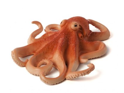 387275 OCTOPUS e1485447372165 540x451