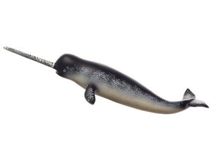 387354 Narwhal 540x191