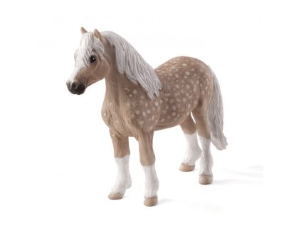 387282 WELSH PONY e1485454616407 540x540
