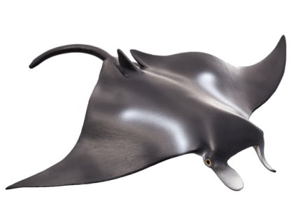 387353 Manta Ray 540x307