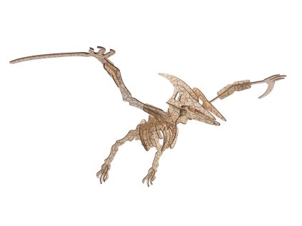 Woodcraft Dřevěné 3D puzzle Pterosaur