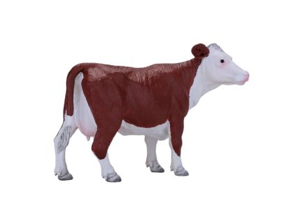 MJ381074 Hereford krava H