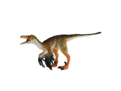MJ381089 Troodon H