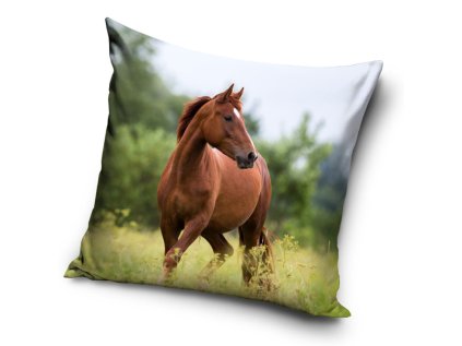 35256 dekoracni polstarek kun hnedak na louce 40x40cm