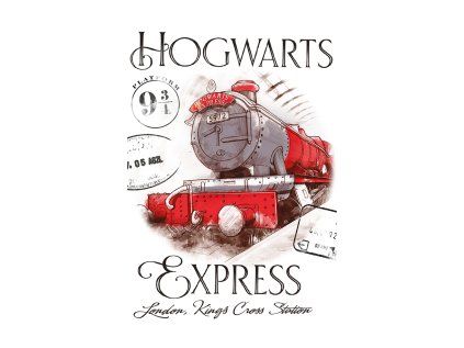 42623 detsky rucnik harry potter bradavicky express 30x50