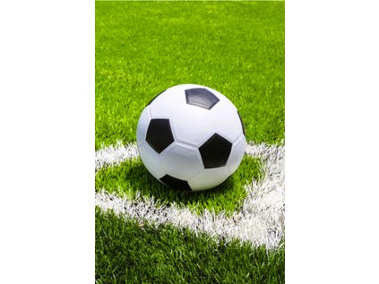 FLÍSOVÁ DEKA FOTBAL (Velikost uni)