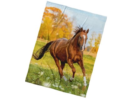 43008 mikroplysova deka kun ryzak na louce 150x200