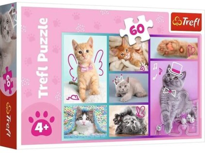 vyr 4209 trefl puzzle 60el slodkie kociaki