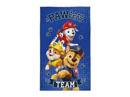 DETEXPOL Dětský ručník Paw Patrol Team Bavlna - Froté, 50/30 cm