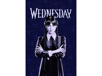 FLÍSOVÁ DEKA WEDNESDAY (Velikost uni)