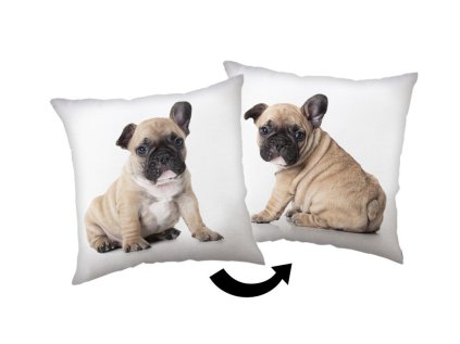 ST 089182 polstarek bulldog