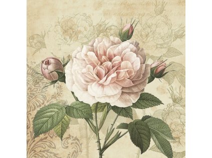 Ubrousky MAKI L (20ks) Vintage Rose with Buds