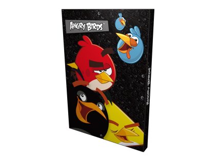 DRF ANGRY BIRDS box A4 na sešity AKCE