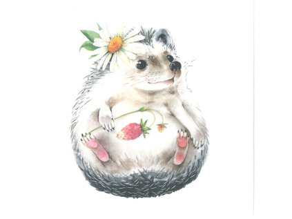 Ubrousky PAW Dekor L (20ks) Wild Strawberry Hedgehog