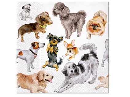 Ubrousky PAW Dekor L (20ks) Dogs Happiness