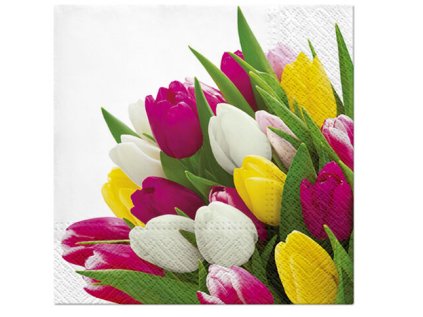 Ubrousky PAW Dekor L (20ks) Bunch of Tulips