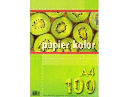 Xero papír A4 100l oranžový