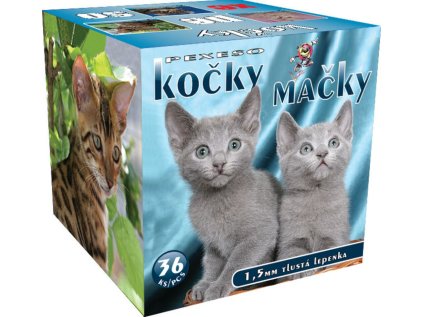 MP pexeso BOX LUX Kočky