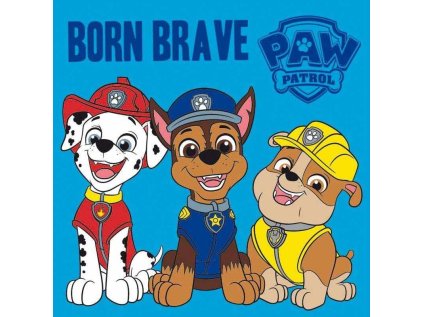 FA 251671 magicky rucnicek paw patrol brave