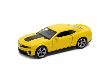 43667.car